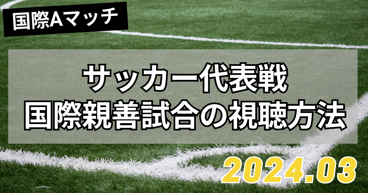 サッカー国際親善試合